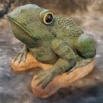 frog_base